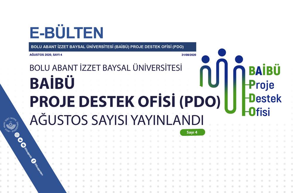 4. Sayı
